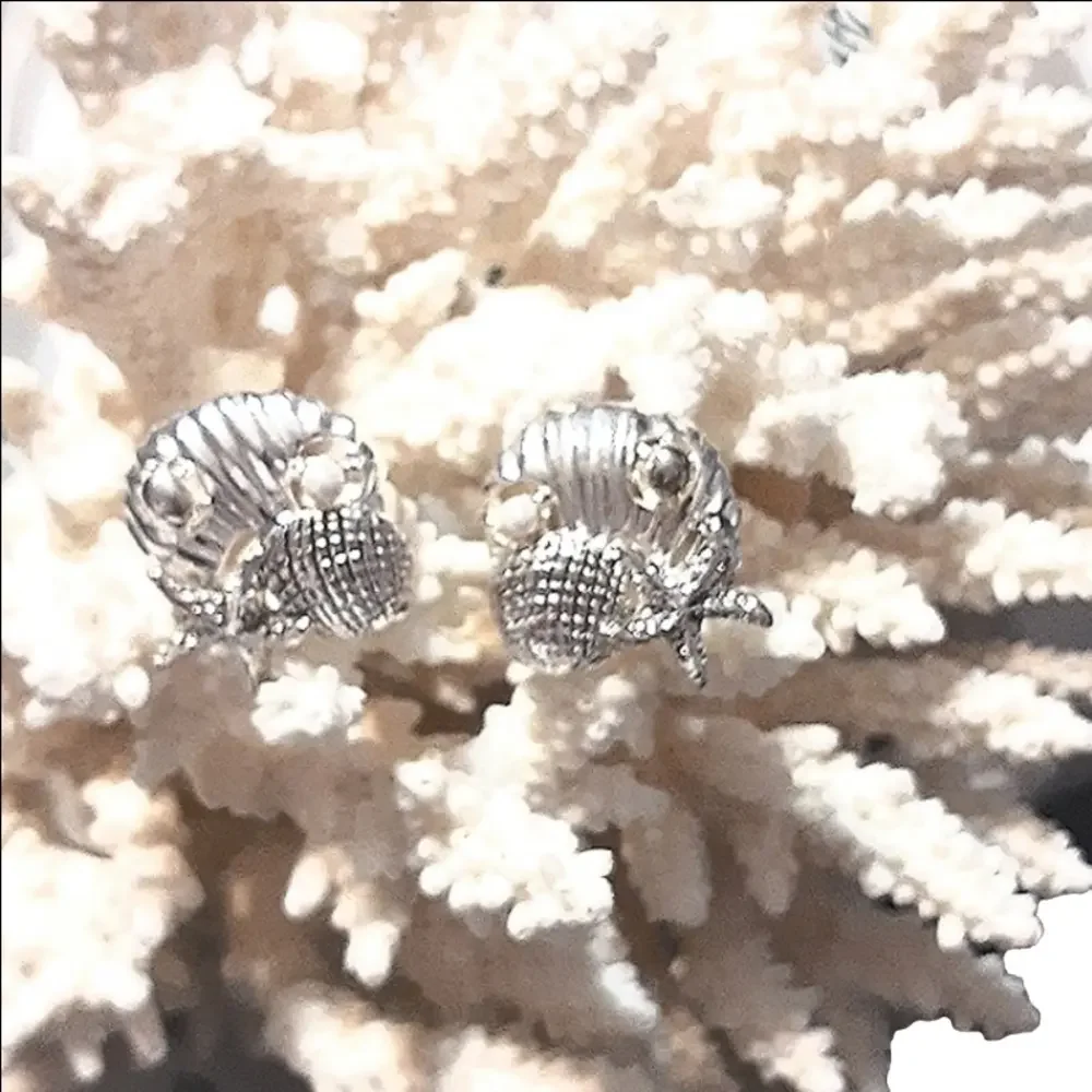 SEASHELLS, STARFISH & a tiny PEARL - Picture 6 of 6